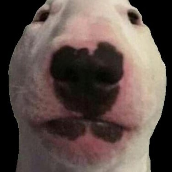 Meet your Posher, Alex - Picture 1 of 1